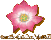 Jesus is the Lily of the Valley